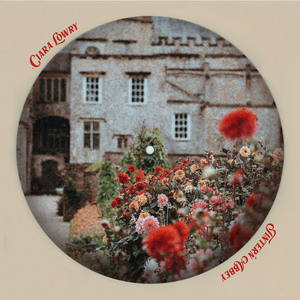 欧美女星安姨内射视频
